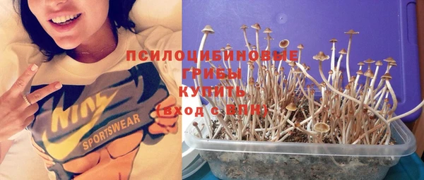 а пвп мука Березники