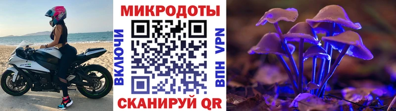 это телеграм цены наркотик Арсеньев Псилоцибиновые грибы Cubensis