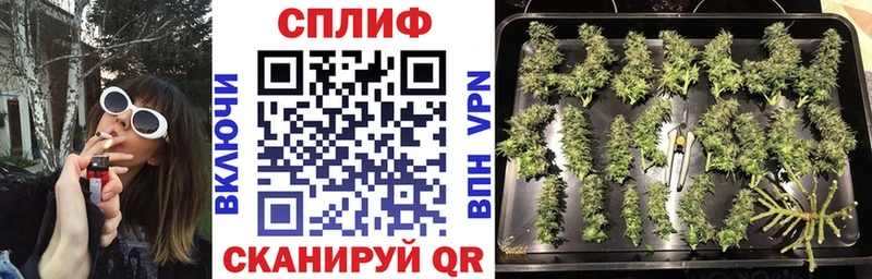 цены Арсеньев Марихуана Ganja